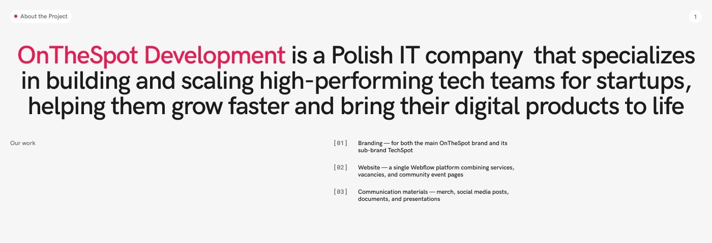 Website & Identity | On The Spot Image 0