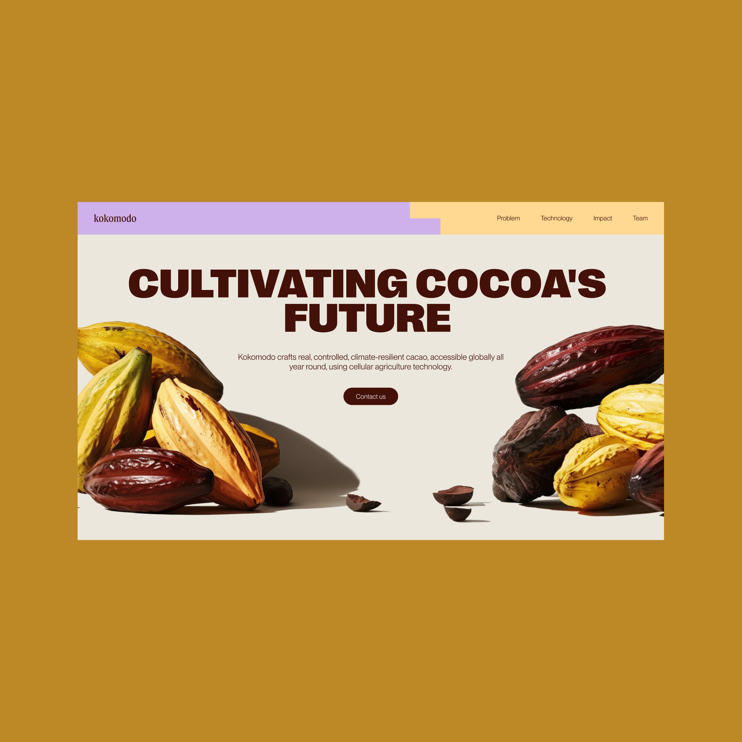 Kokomodo FoodTech Web Design Case | Butcher.studio Image 1