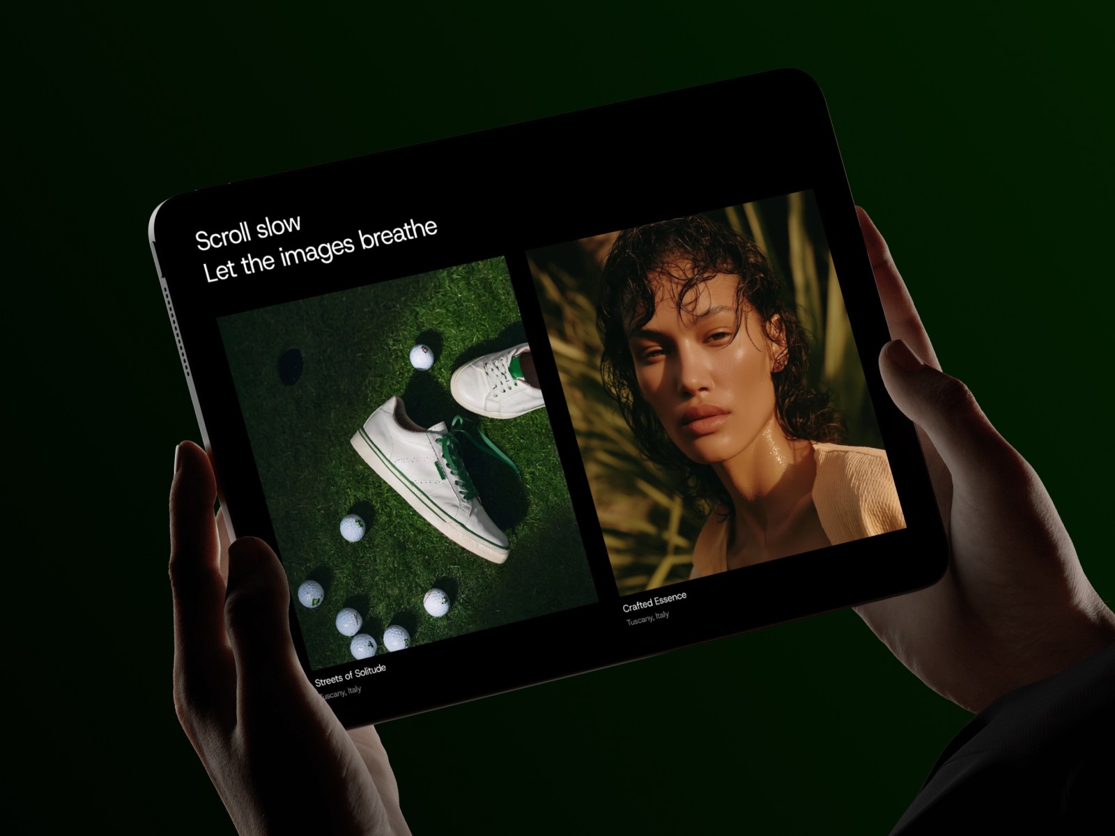 Annie Leibovitz – Minimal Photography Template Image 2