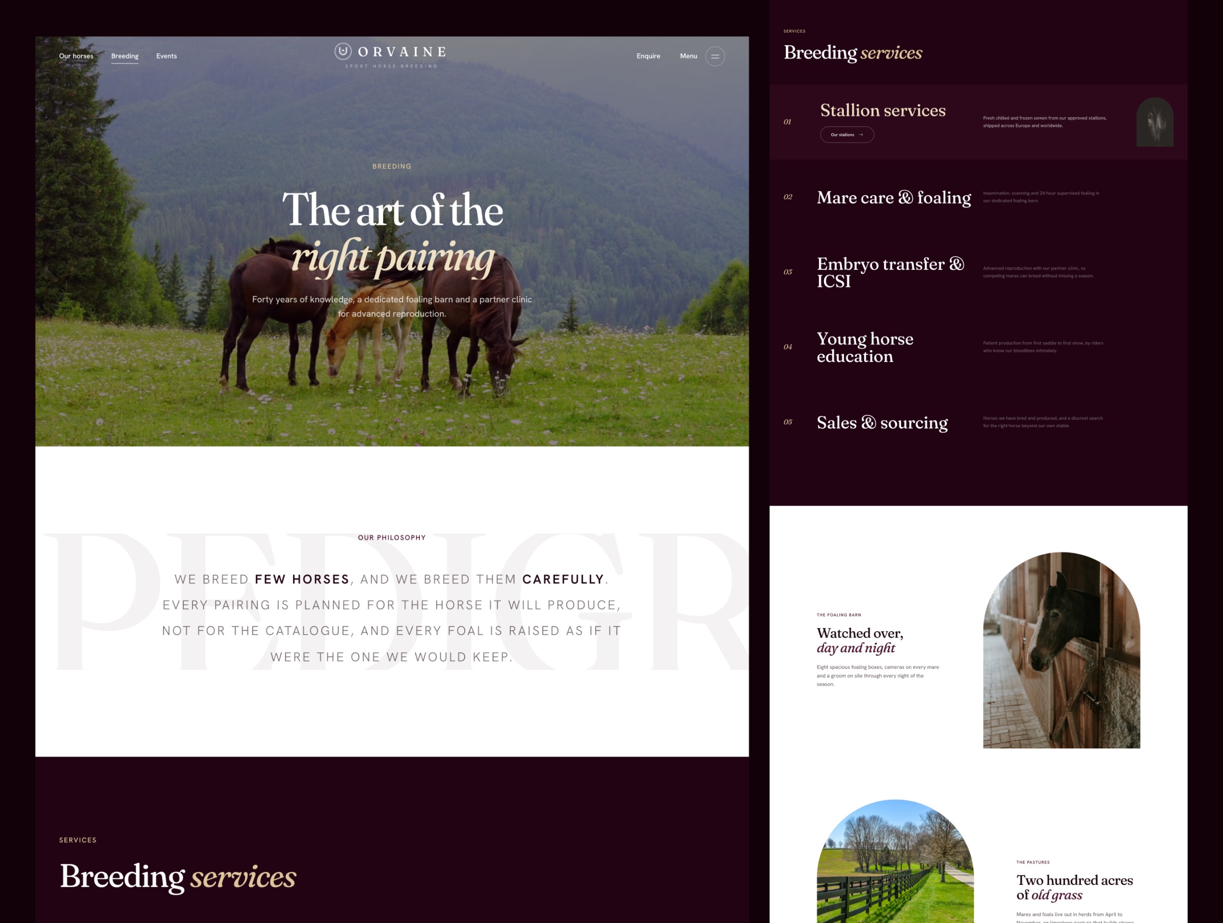 Orvaine - Luxury Equestrian & Horse Breeding Website Template Image 0