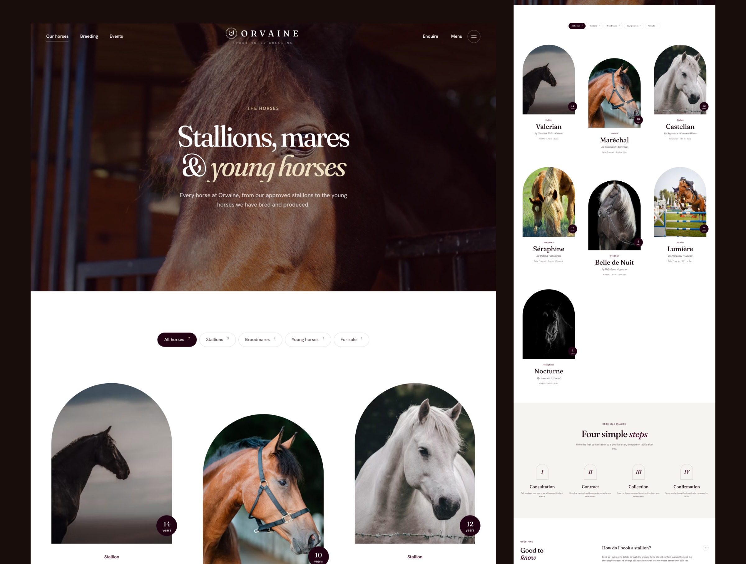 Orvaine - Luxury Equestrian & Horse Breeding Website Template Image 1