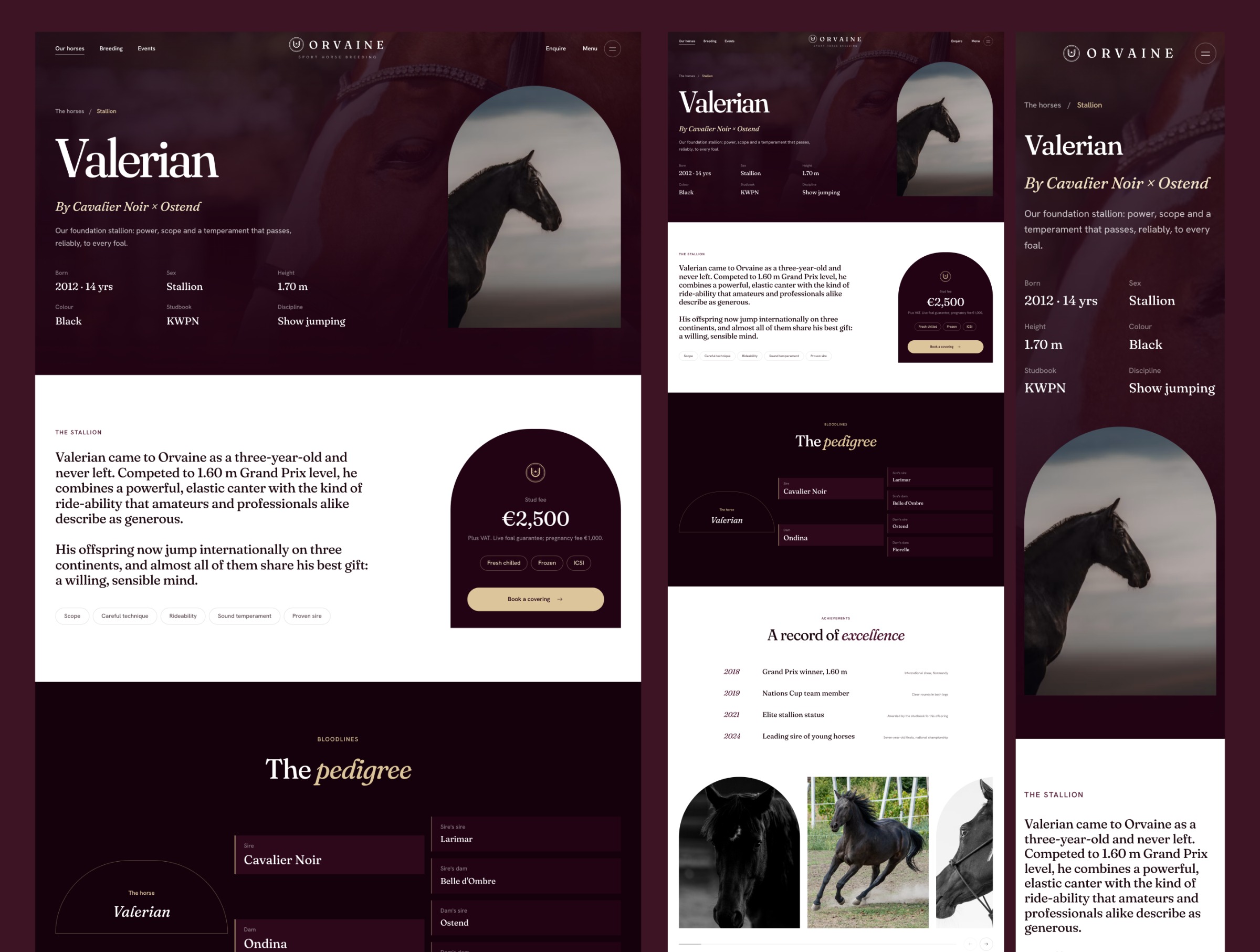 Orvaine - Luxury Equestrian & Horse Breeding Website Template Image 2