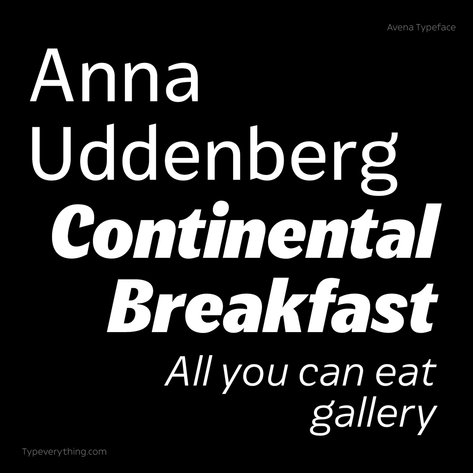 Avena Typeface by Typeverything Image 4