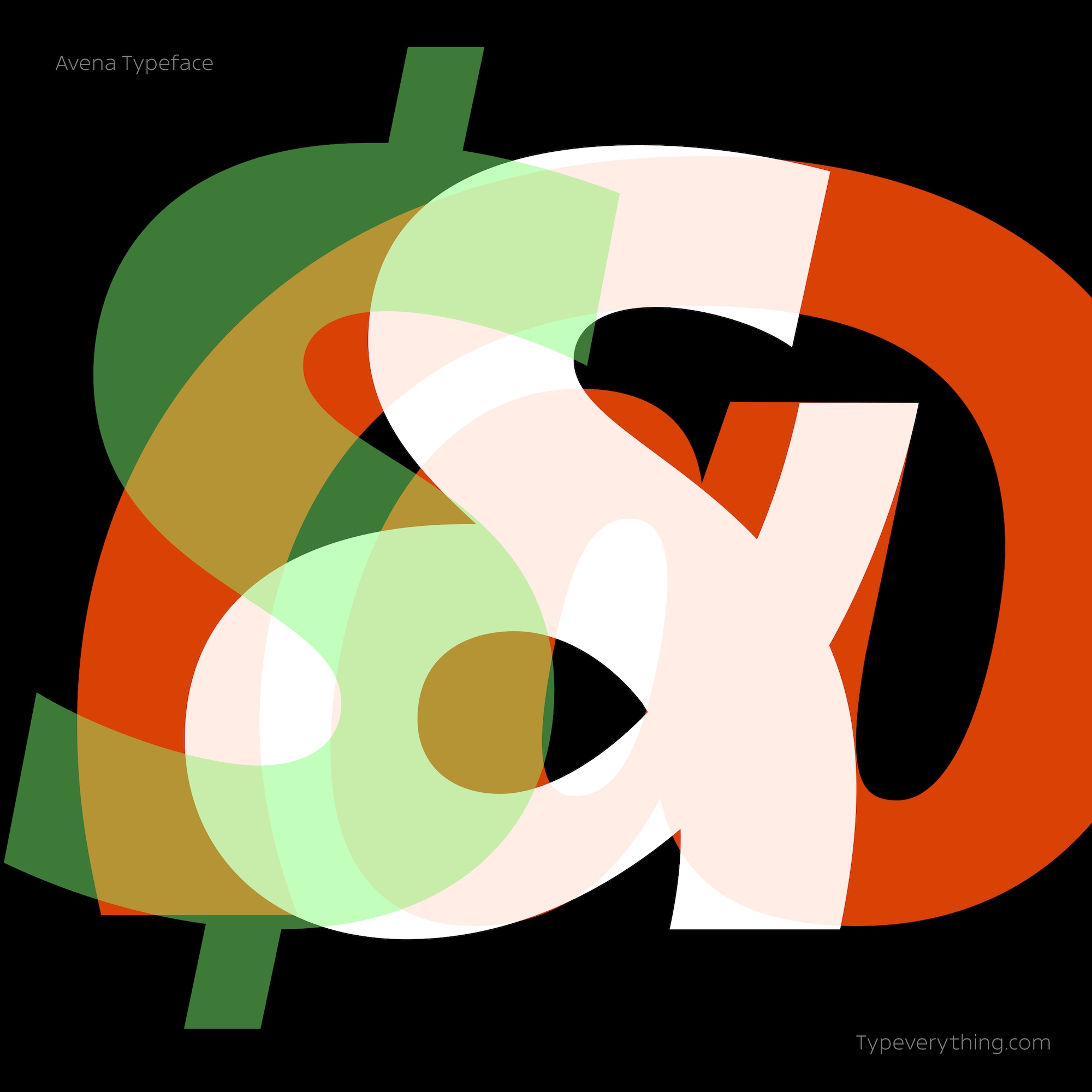 Avena Typeface by Typeverything Image 5