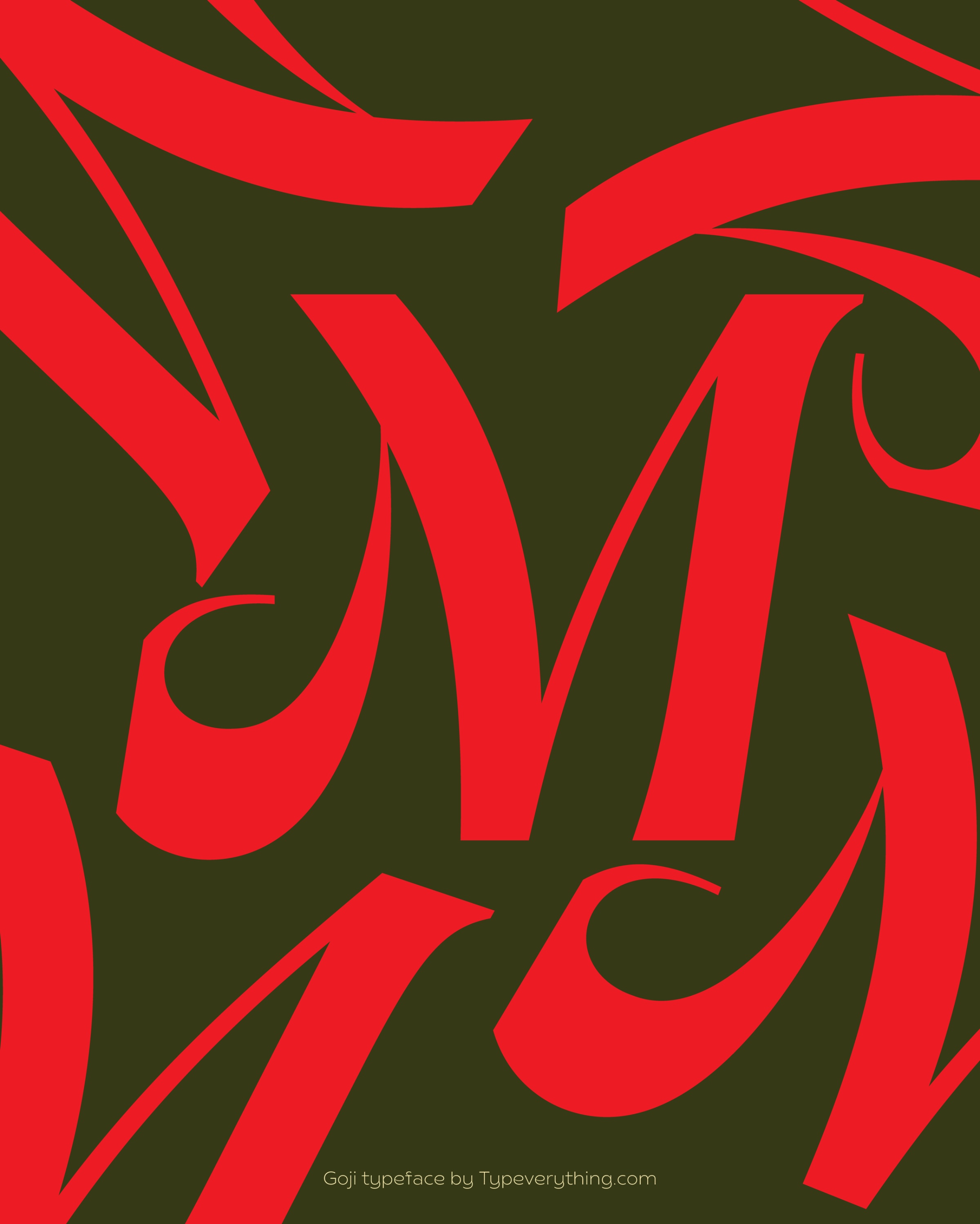 Goji Typeface by Typeverything Image 0