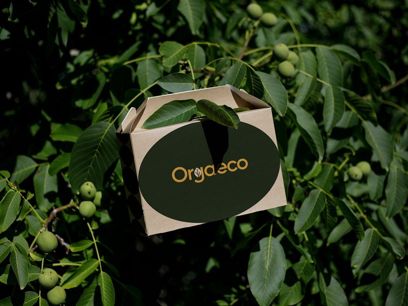 Fruit Packaging Design