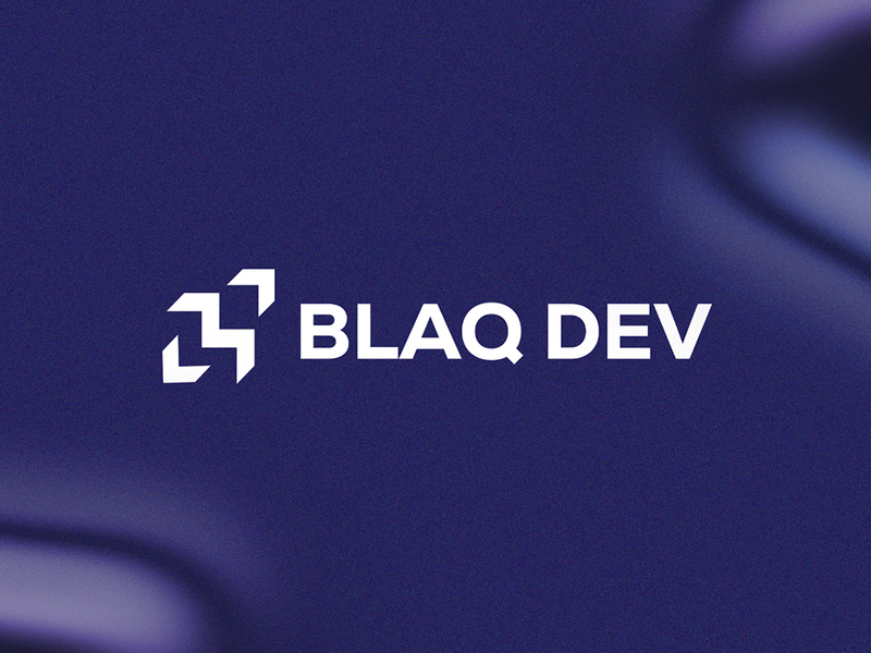 BLAQ DEV VISUAL IDENTITY