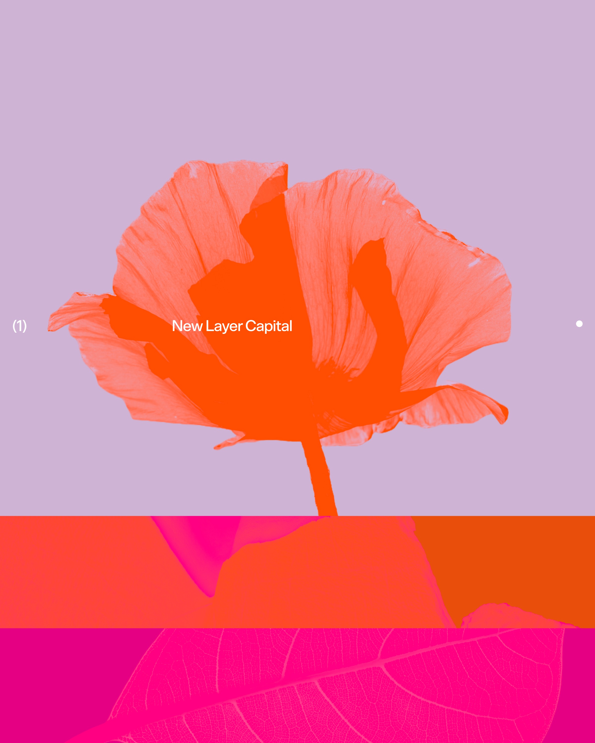 New Layer Capital Image 1