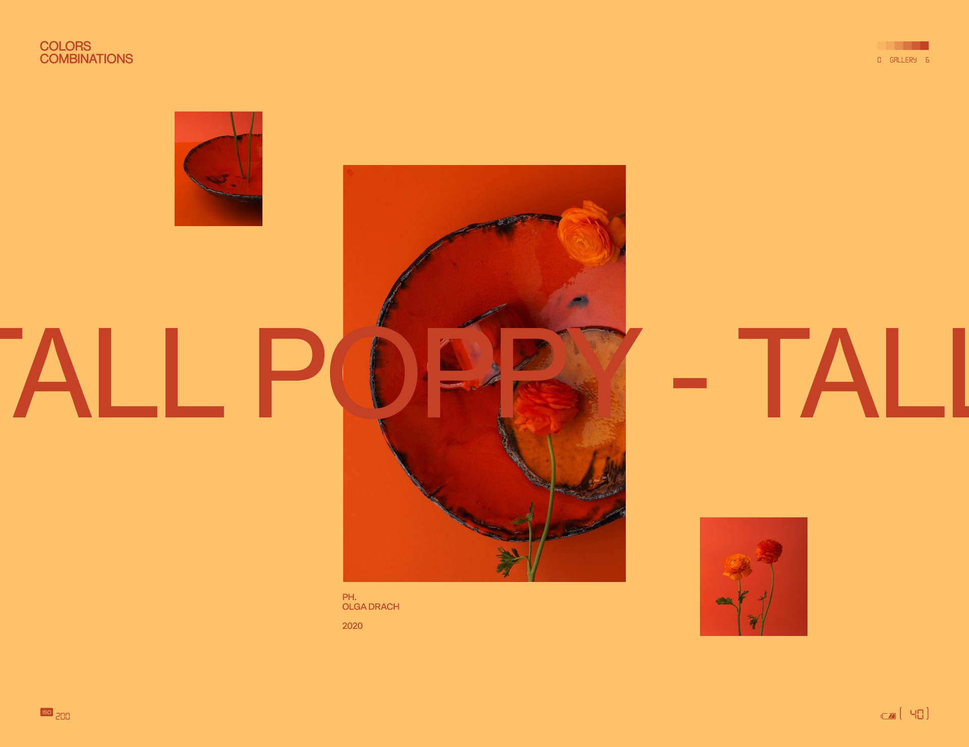 Colors Combinations Image 0