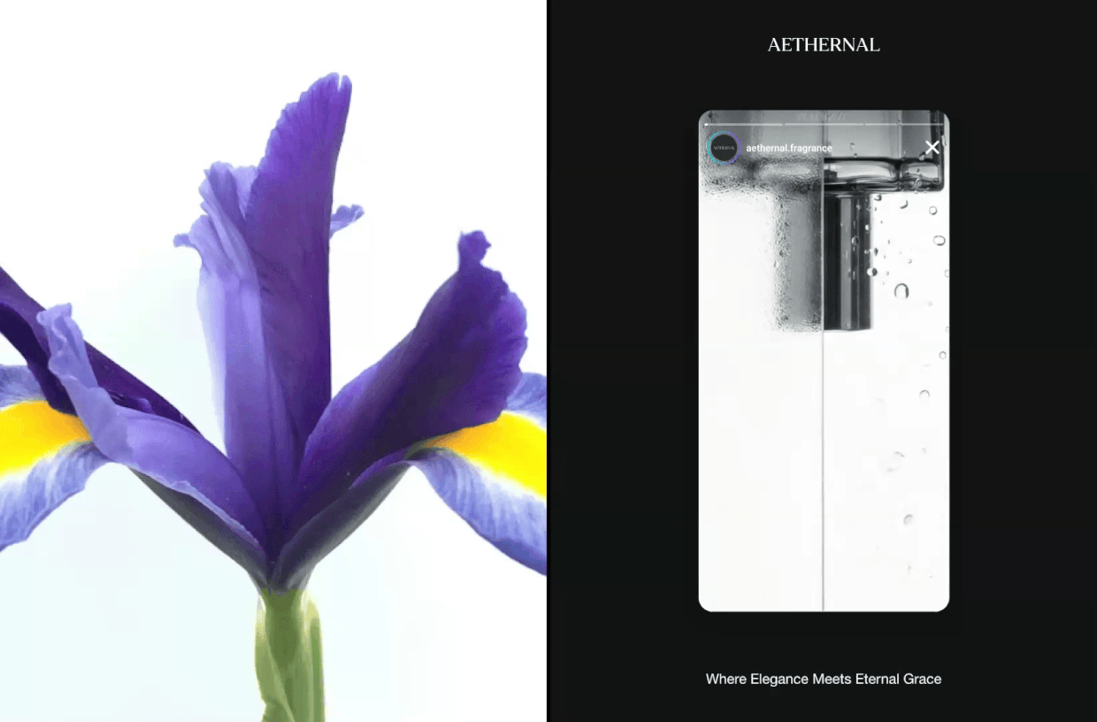 Aethernal Parfum - Brand Packaging Image 13