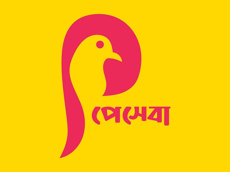 Payseba – Mobile Banking Branding Design