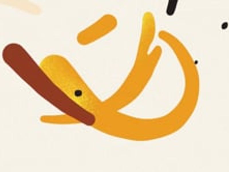 Kon Pne Honey | Natural Food Branding