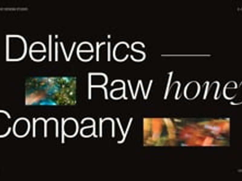 DELIVERICS｜Ecommerce Website Design