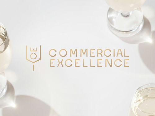 Brand Identity Commercial Excellence