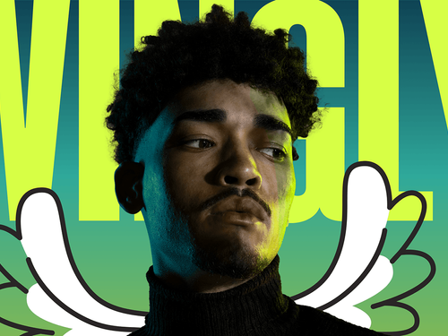 Wingly Visual Identity on Behance
