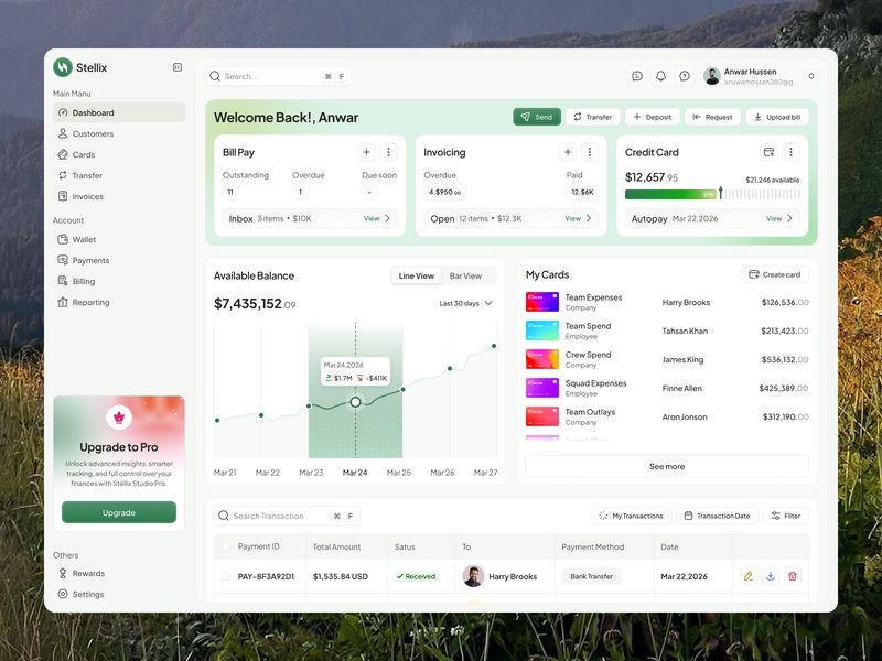 Global Payments & Financial Dashboard