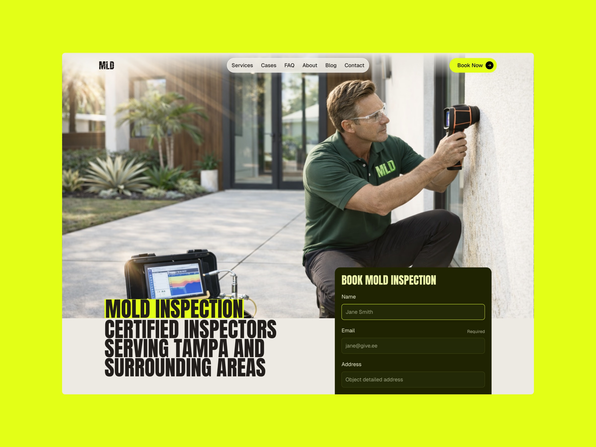 MLD - Mold Inspection Framer template Image 1