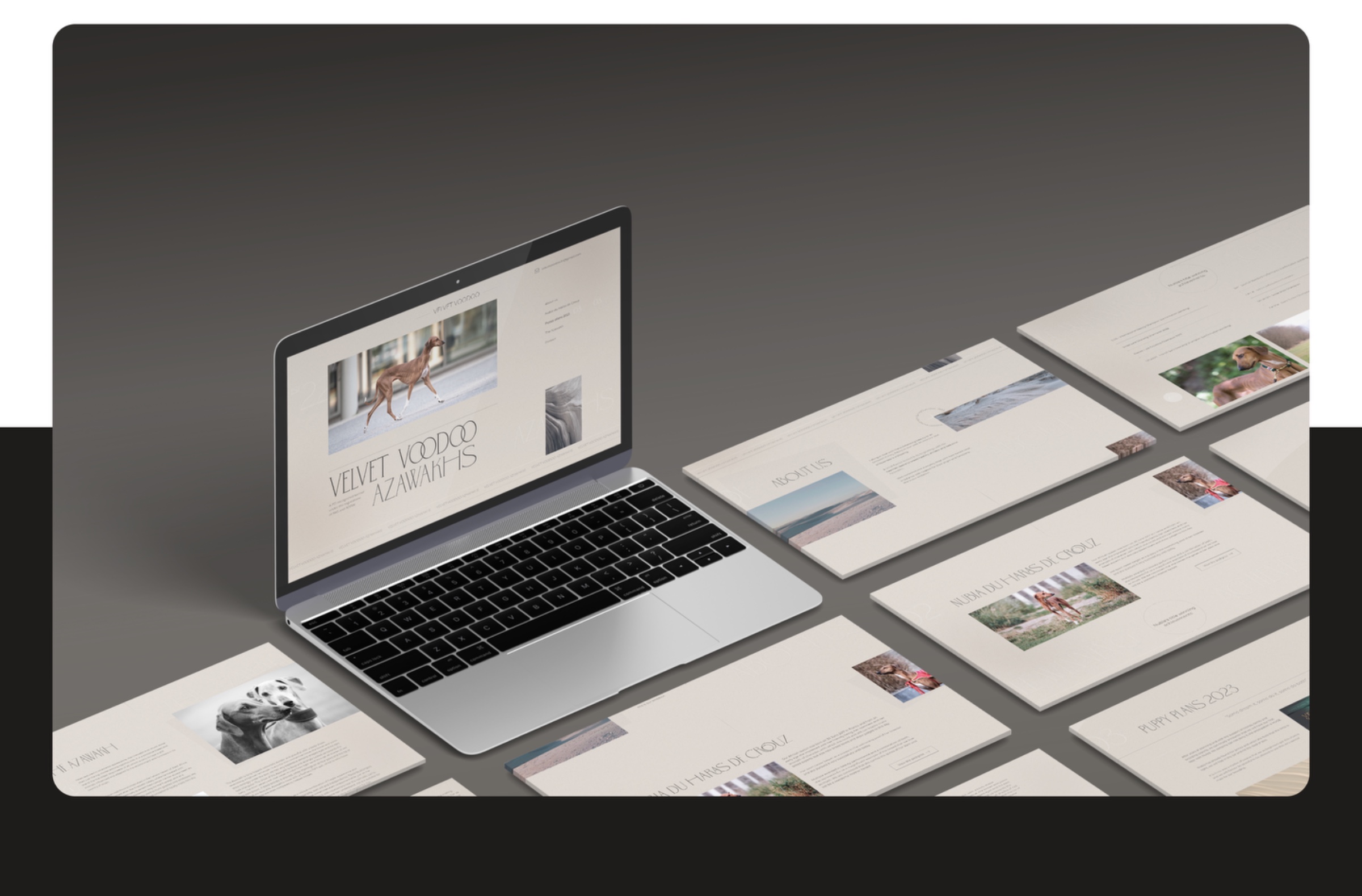 Website for a dog kennel Image 1
