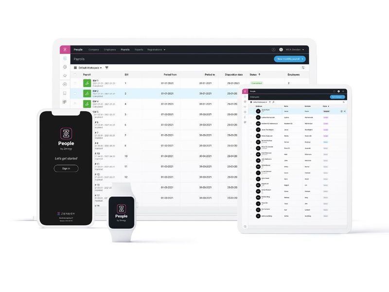 UX and design of fintech platform — Zenegy Framework