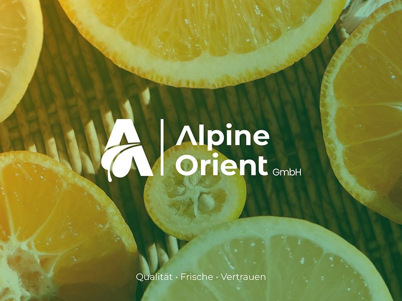 Alpine Orient — Sustainable Trade Brand Identity