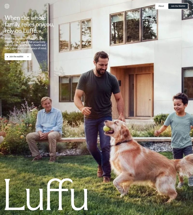 Screenshot taken from luffu.com