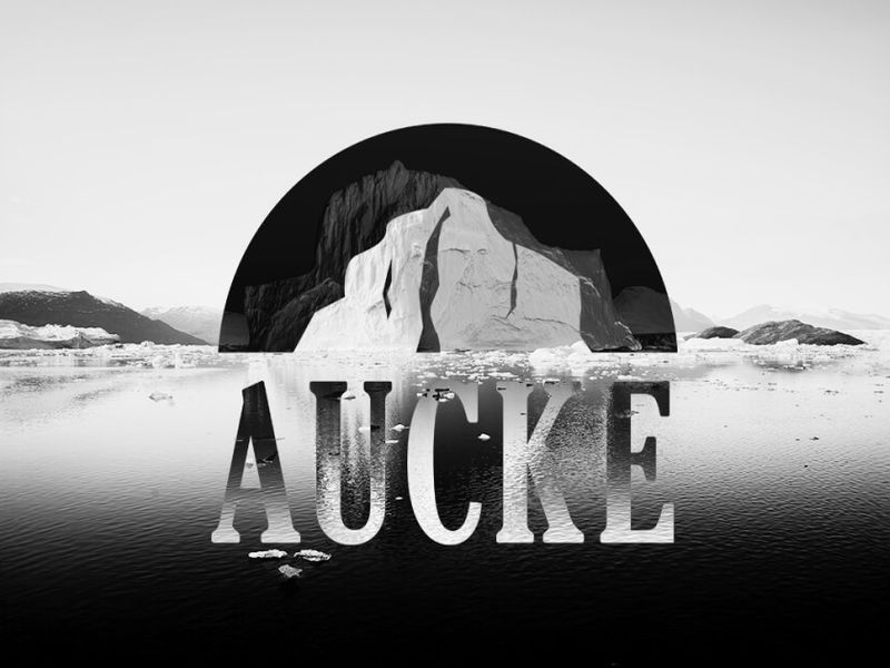 Aucke polar expedities