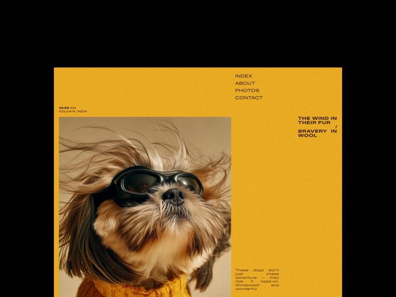 Designed an editorial layout that captures the spirit of fearless companions — bold, minimal, and told through form and type. | Alprav Design