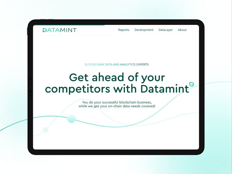 Website for DataMint