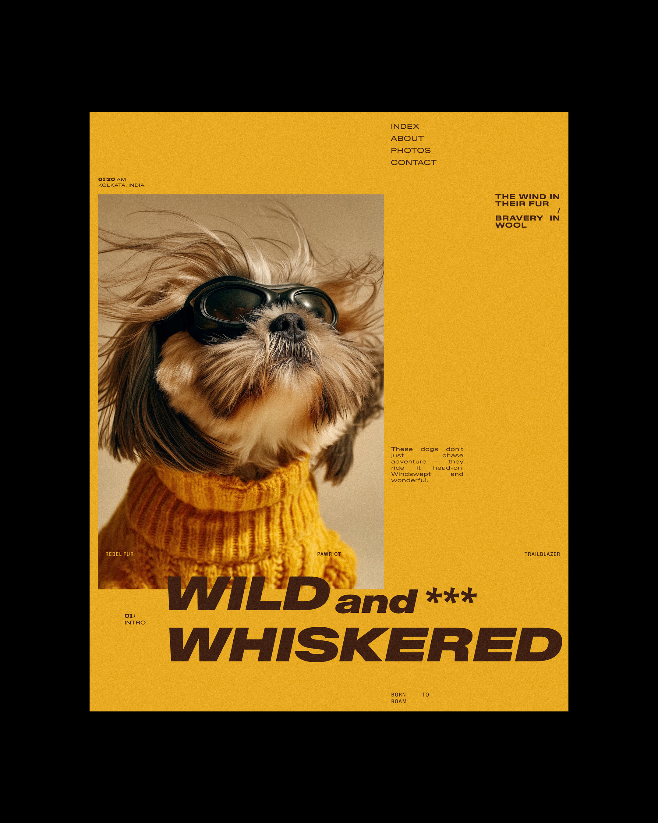 Designed an editorial layout that captures the spirit of fearless companions — bold, minimal, and told through form and type. | Alprav Design Image 0