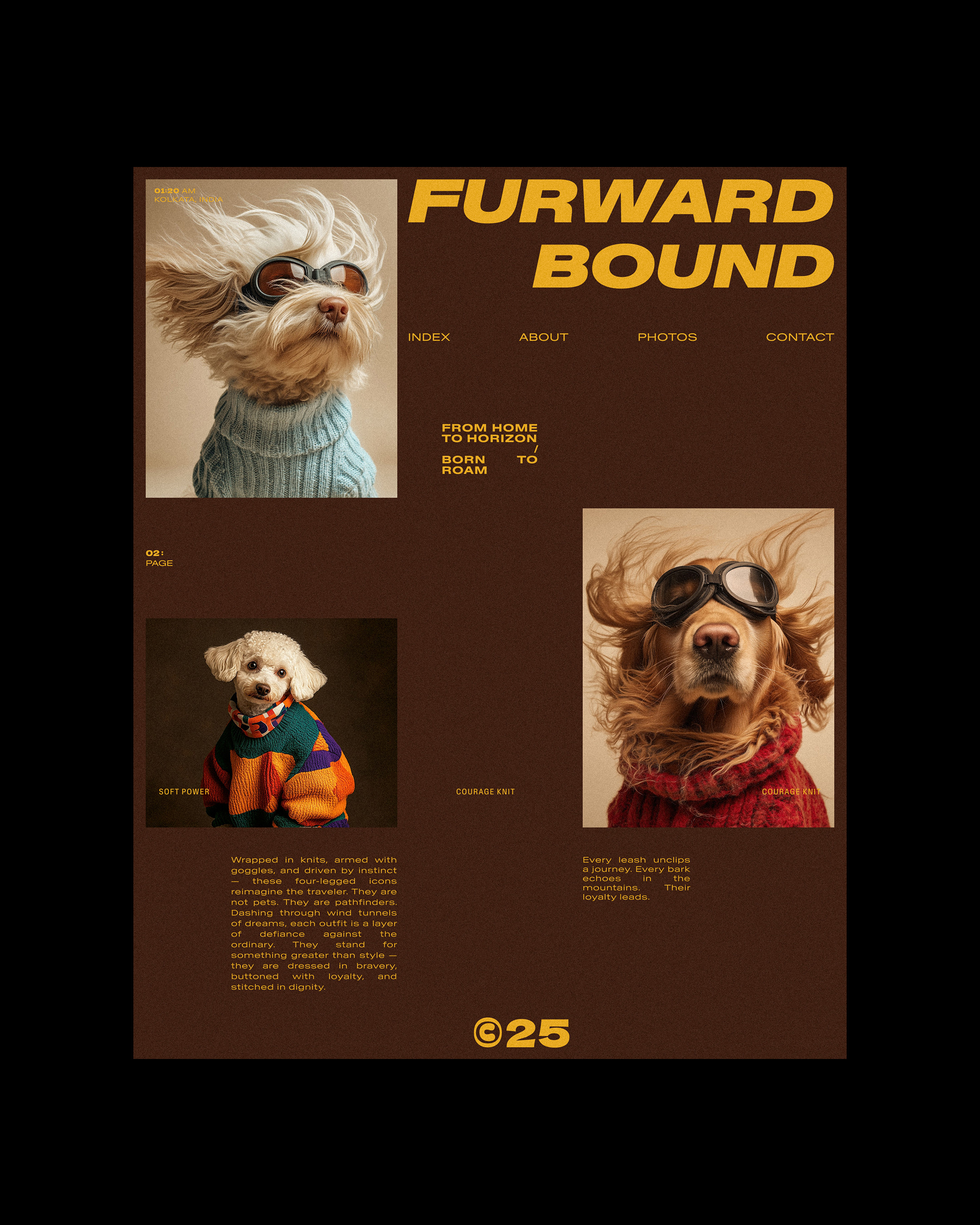 Designed an editorial layout that captures the spirit of fearless companions — bold, minimal, and told through form and type. | Alprav Design Image 1