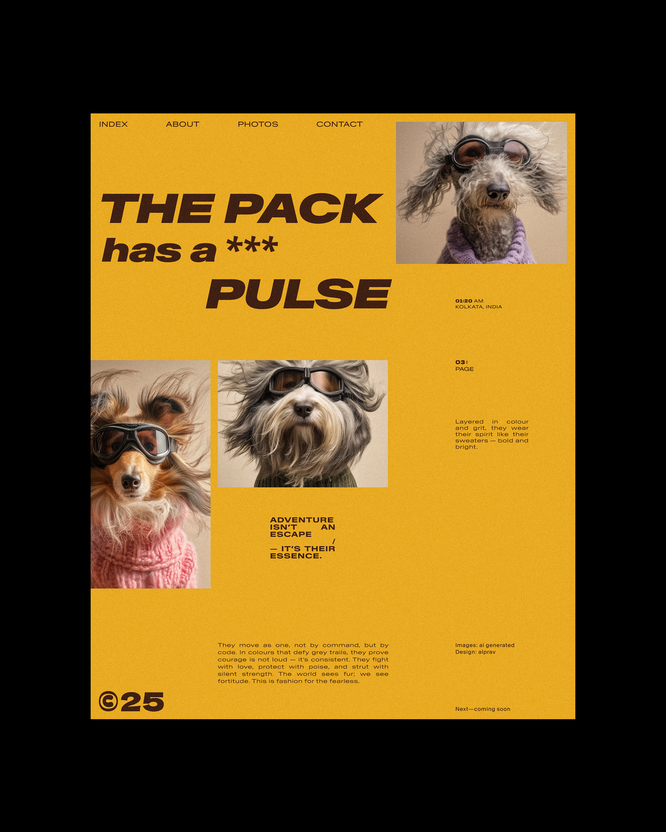 Designed an editorial layout that captures the spirit of fearless companions — bold, minimal, and told through form and type. | Alprav Design Image 2