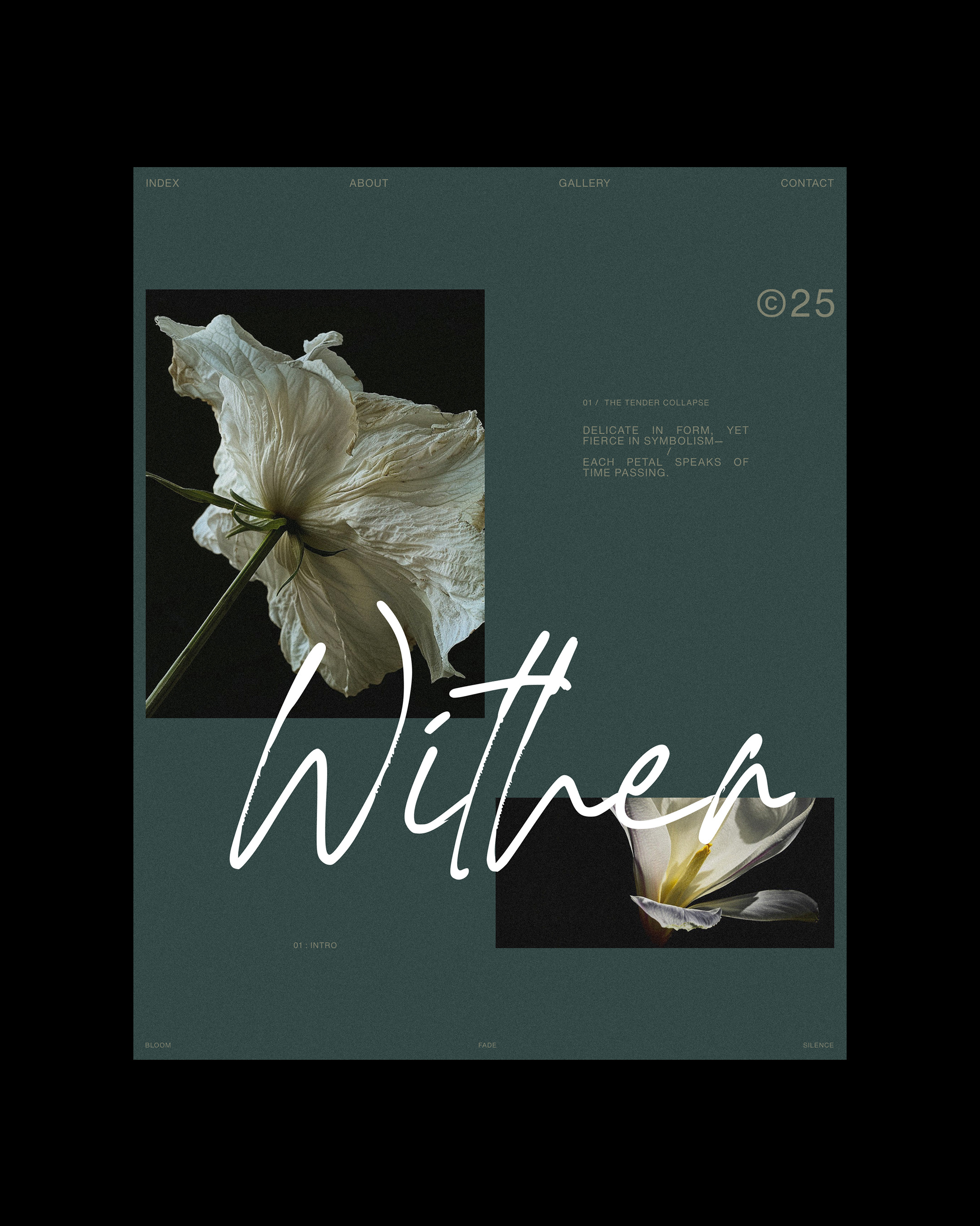 Soft petals, quiet stories. | Alprav Design - Brand Identity Designer Image 0