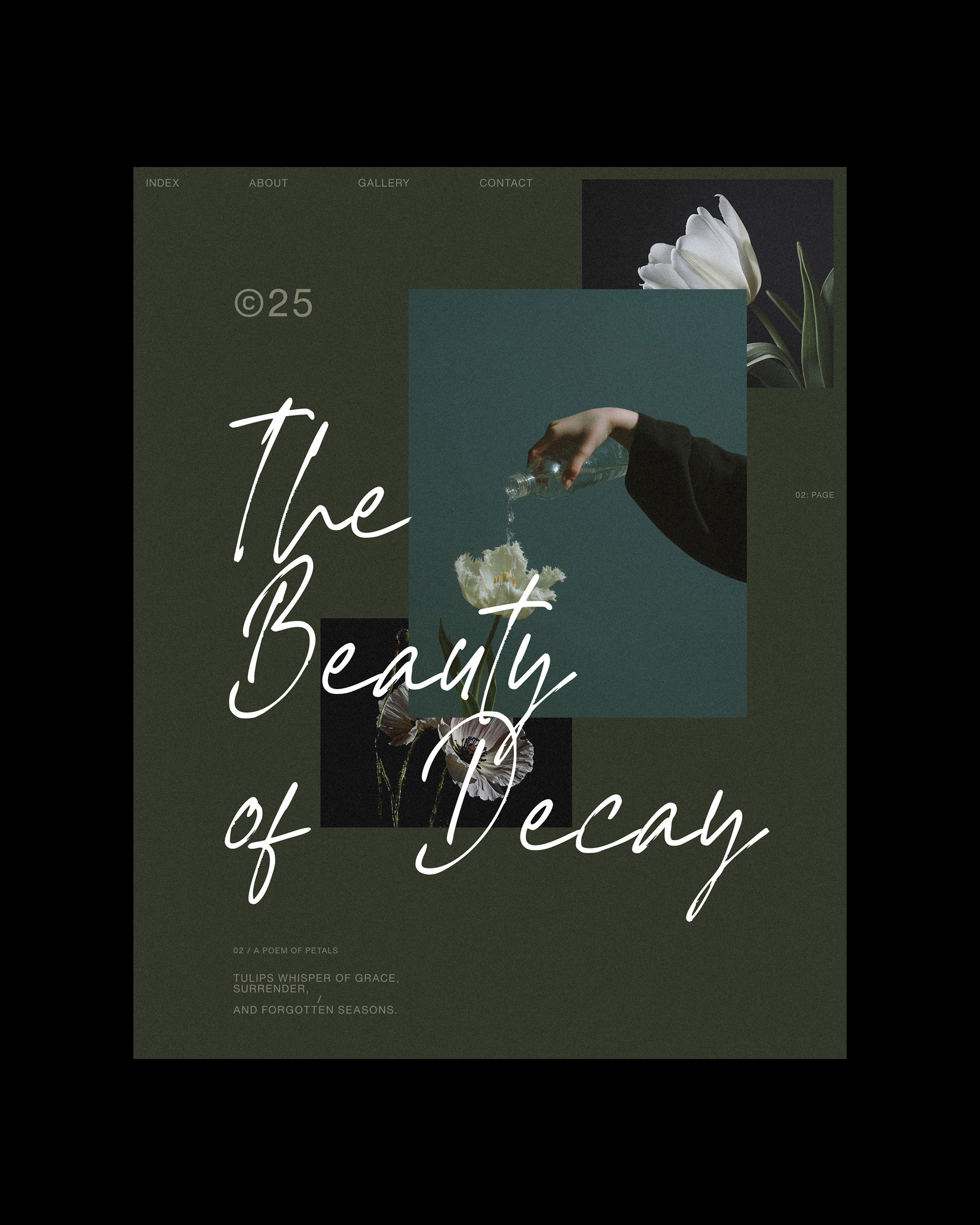 Soft petals, quiet stories. | Alprav Design - Brand Identity Designer Image 1