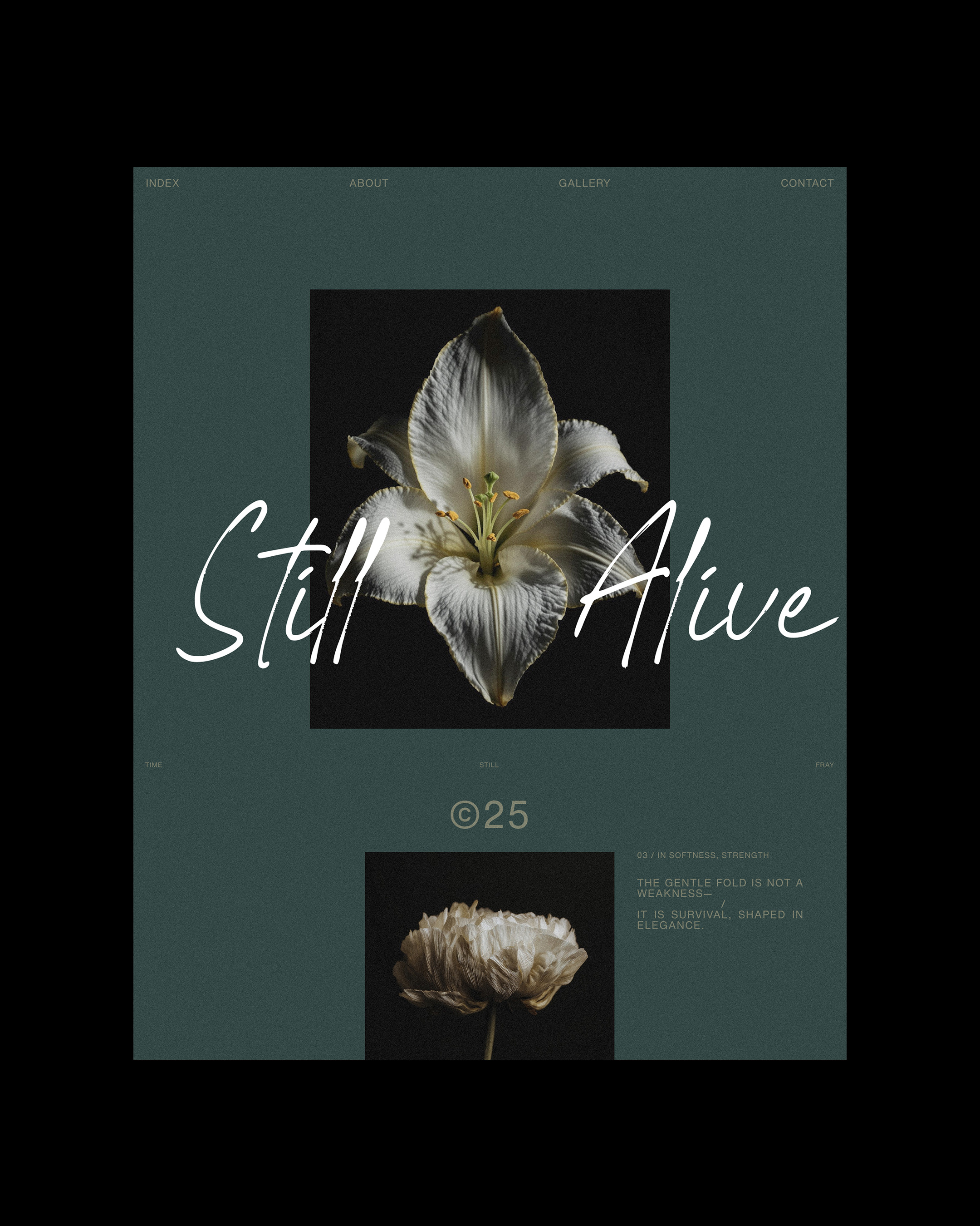 Soft petals, quiet stories. | Alprav Design - Brand Identity Designer Image 2
