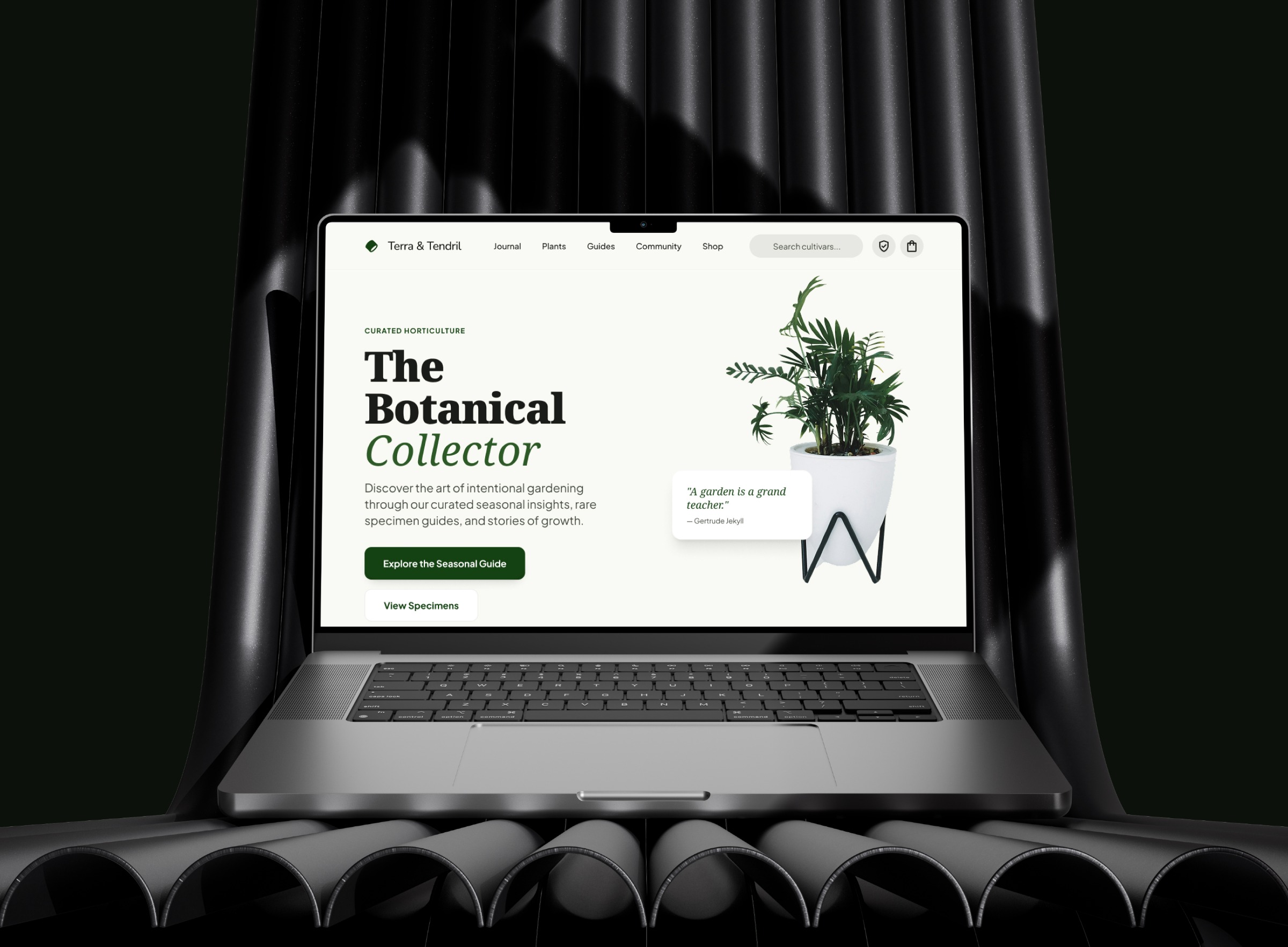 Terra & Tendril —  E-commerce Website Image 3