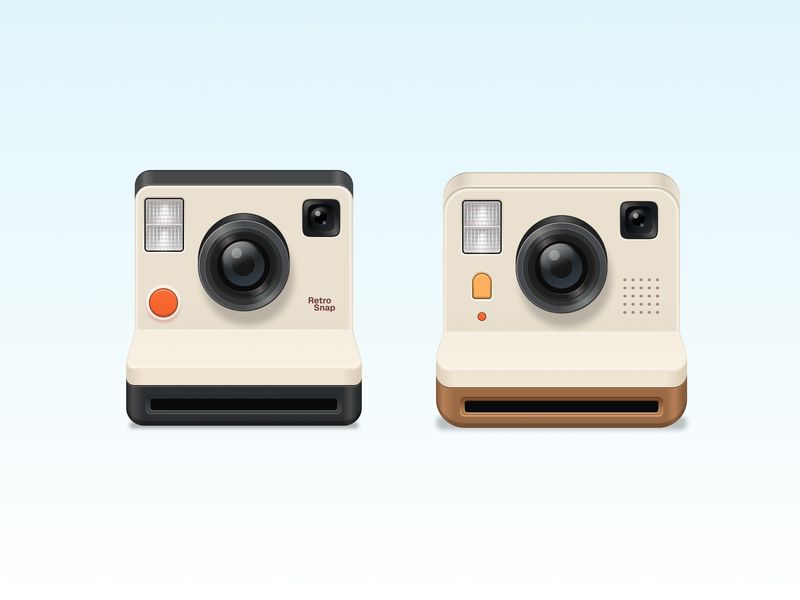 Polaroid Cameras Skeuomorphism