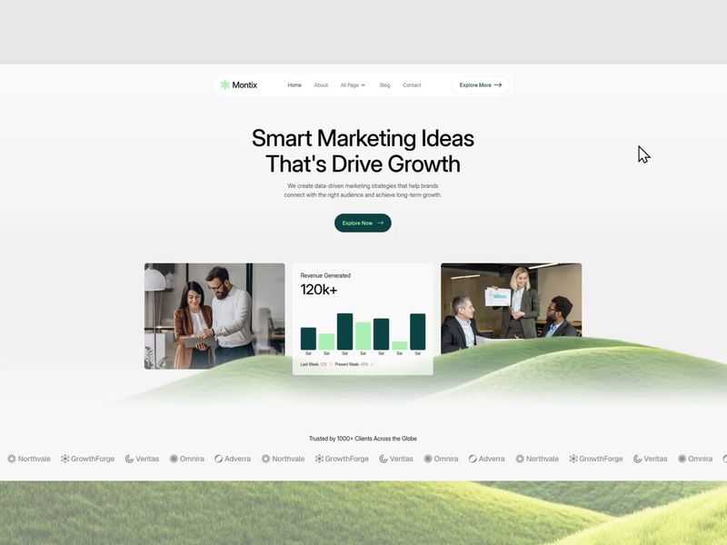 Our template, Montix, just got @webflow approval!