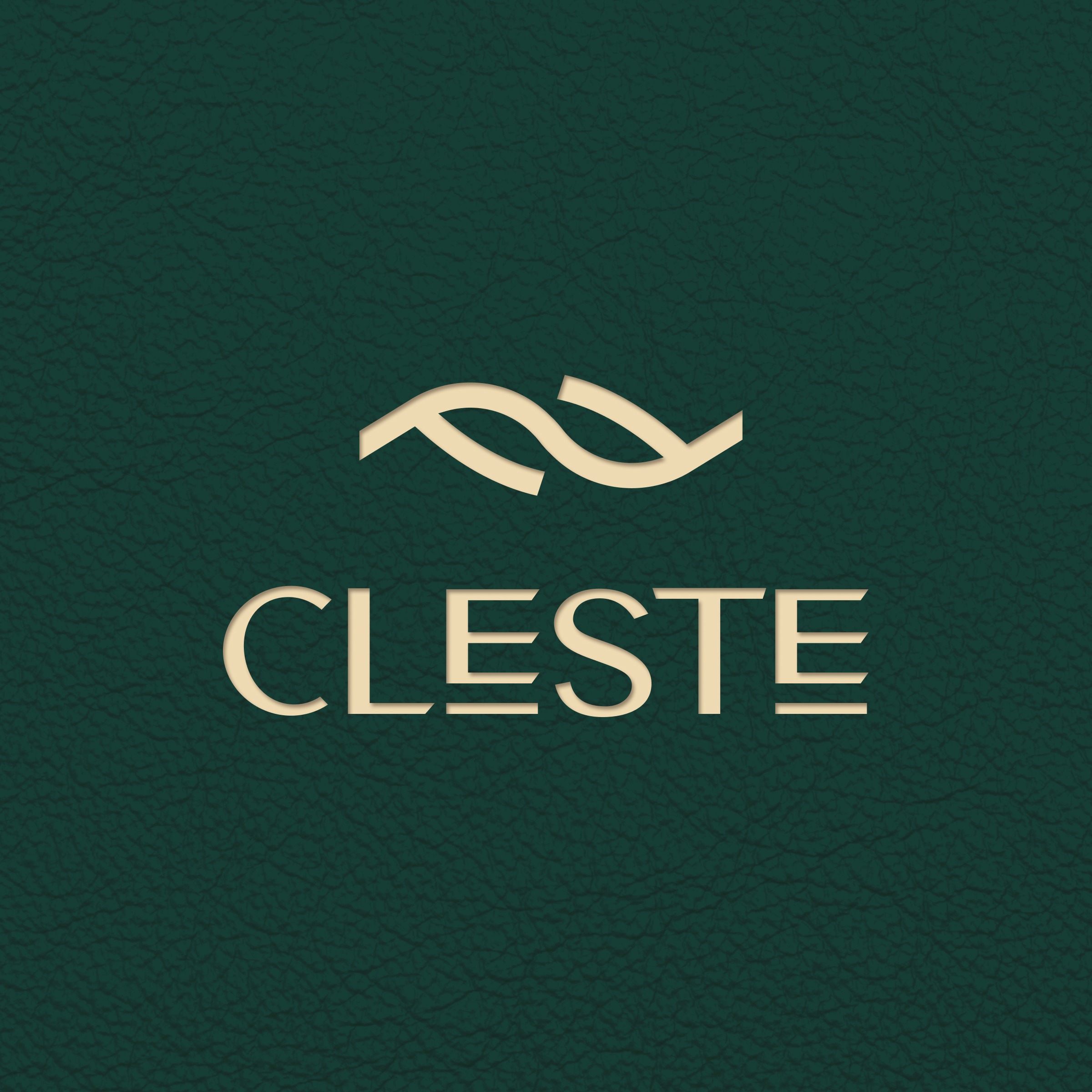 Hotel Brand Identity | Logo & Branding Design For CLESTE