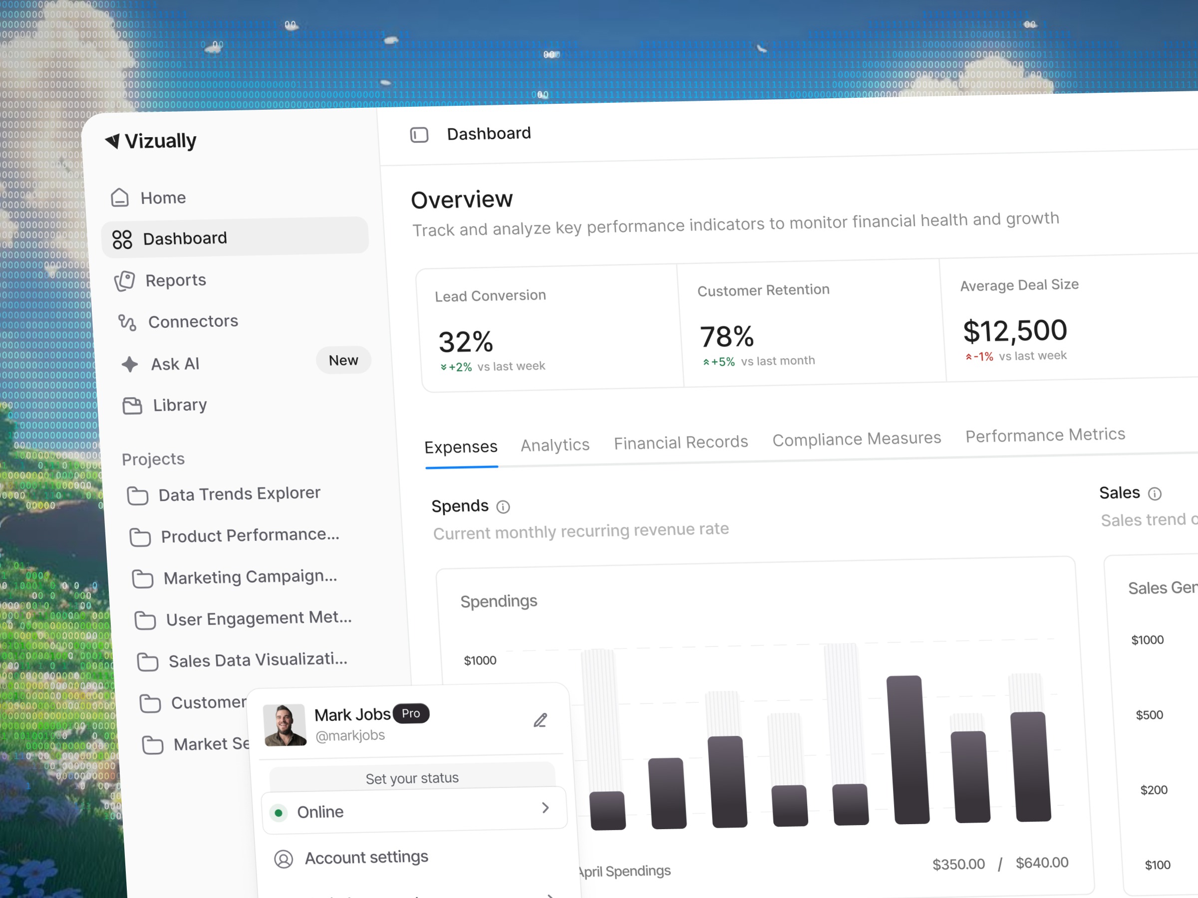 Vizually Analytics — Multi-Metric Transaction Dashboard 💼 Image 0