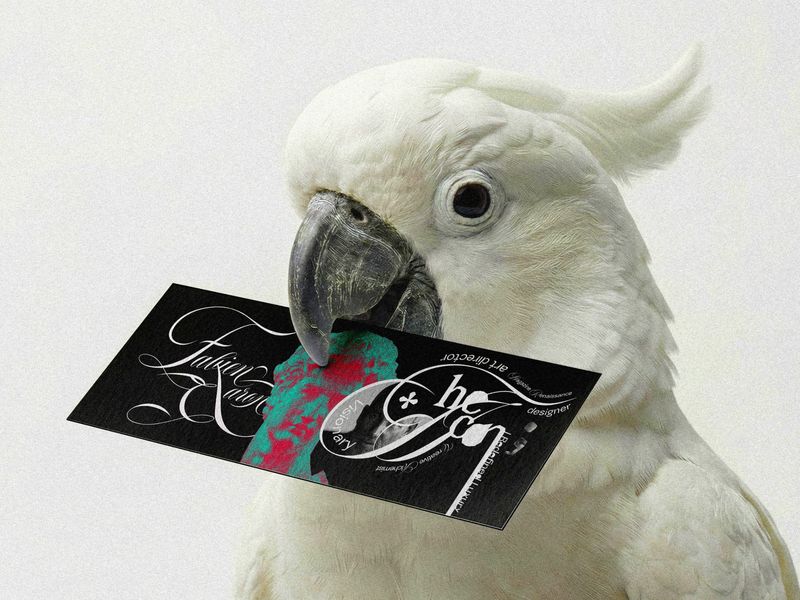 Fabien Baro 🔖 Editorial Design