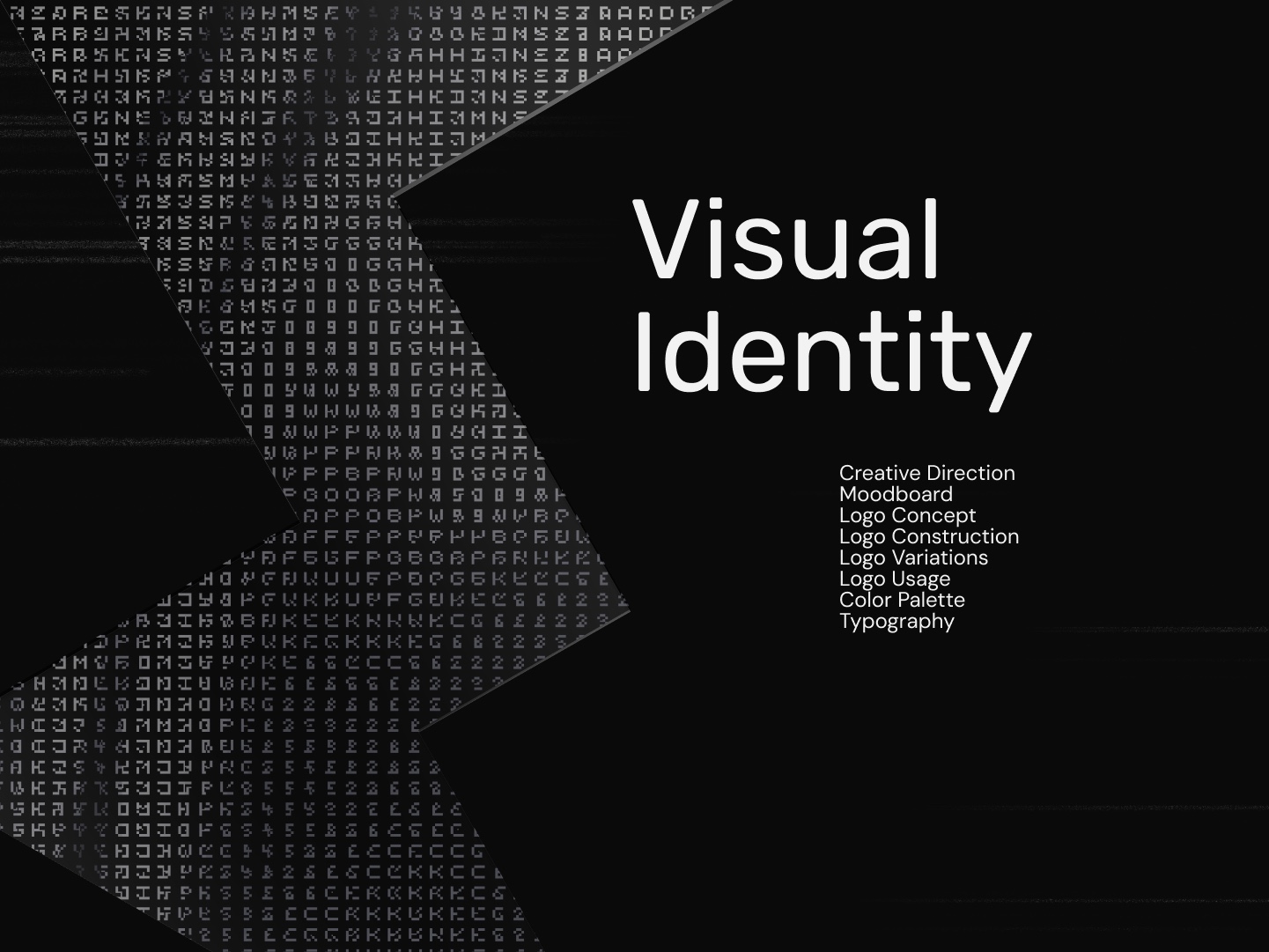 Brand Guidelines for Electroplix Image 8