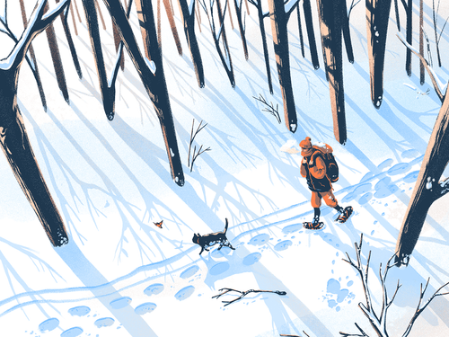 Winter Stroll