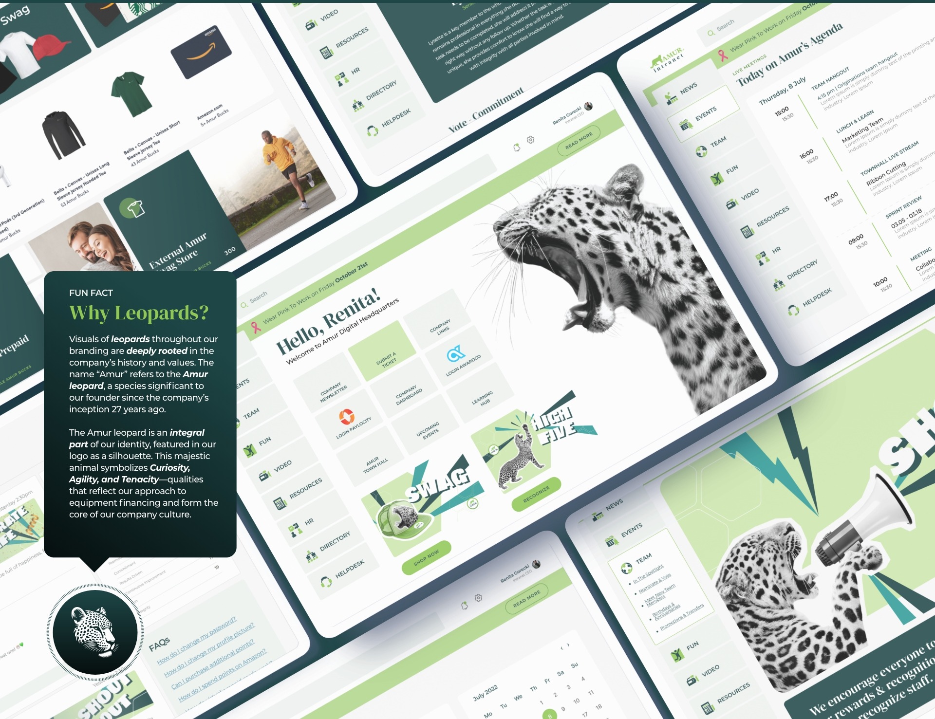 Cat's Eye - Enterprise Product Design
