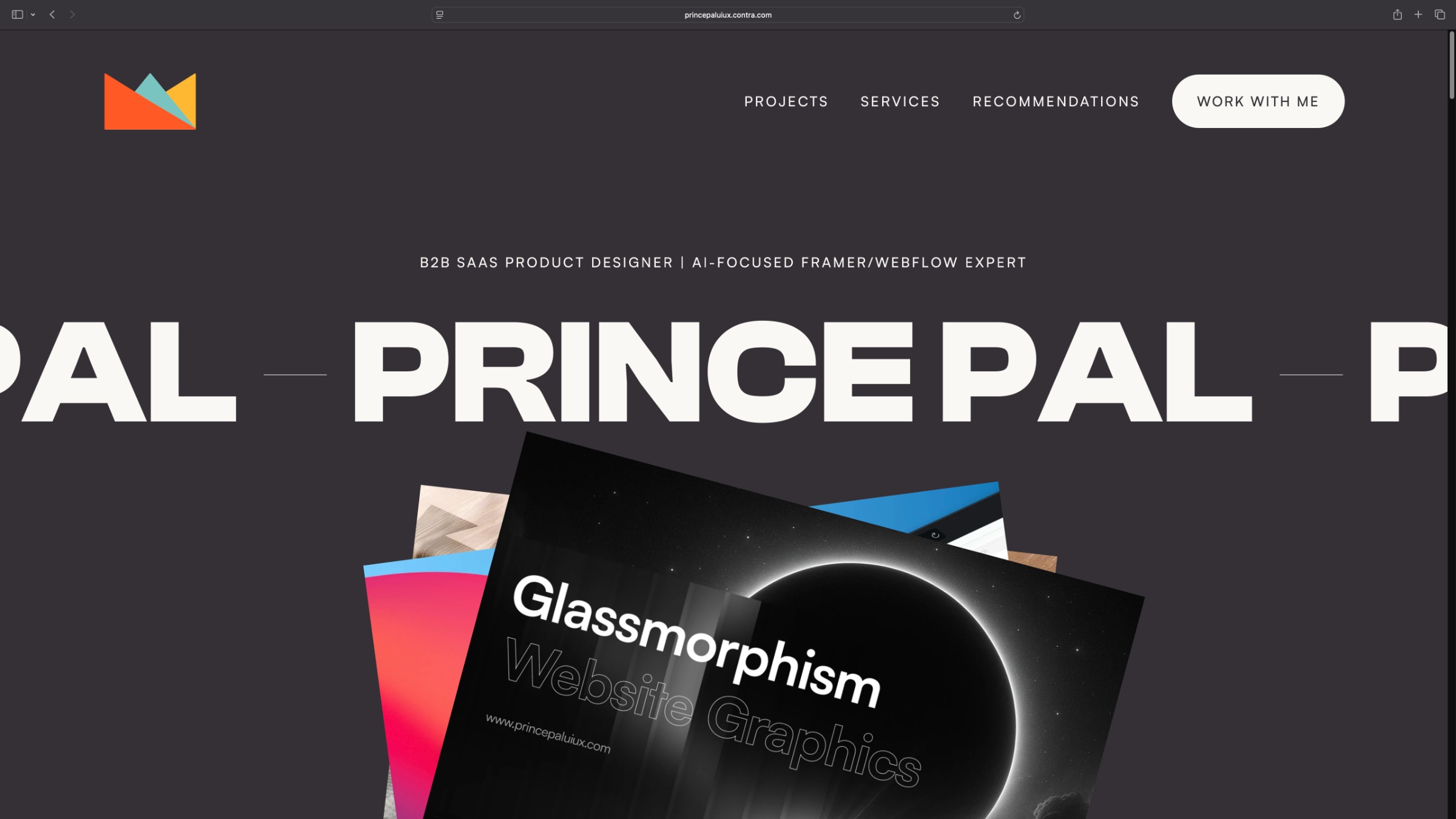 Prince Pal Portfolio - Contra Image 0