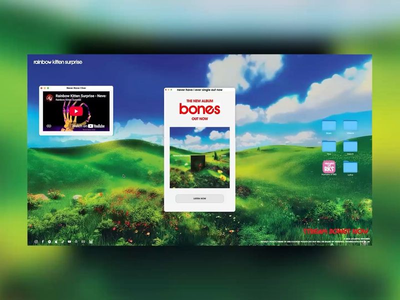 Rainbow Kitten Surprise 'bones' web experience