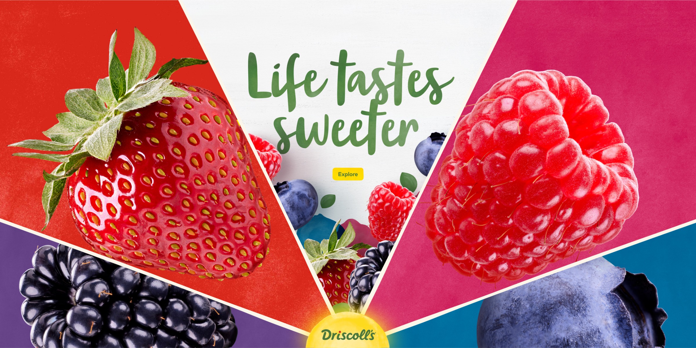 Driscoll's Berries