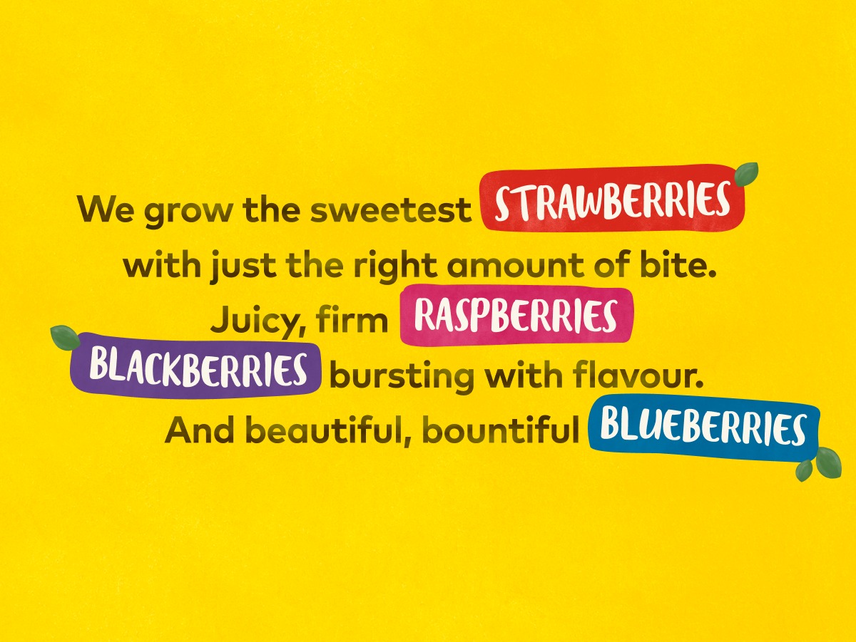 Driscoll's Berries Image 0