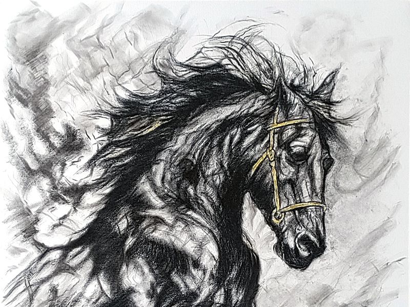 GAUTAM BANSAL ART - Still in Motion