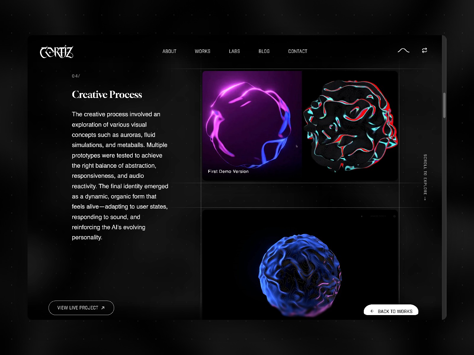 Cortiz Portfolio Image 3