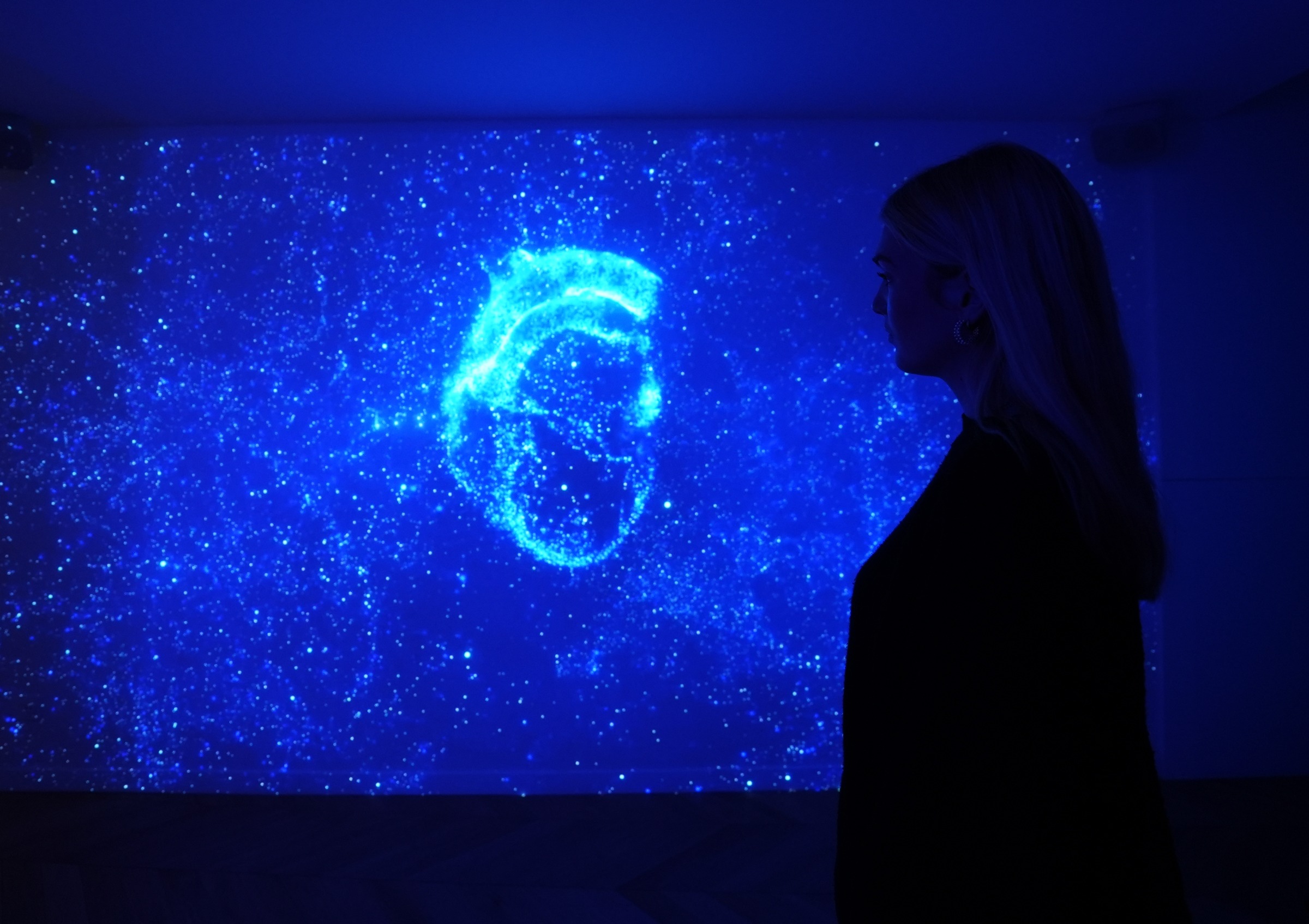ANJAC IMMERSIVE ROOM - SUPERBIEN Image 11